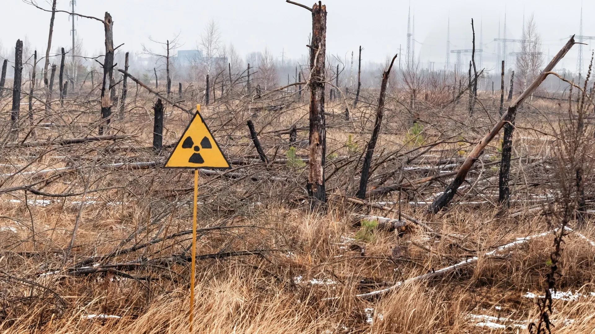 Unlocking the Secrets of Chornobyl’s Radioactive Dust: Scientists Reveal Surprising Stability in 40-Year-Old Fallout